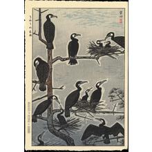 笠松紫浪: Gathering of Cormorants - Ohmi Gallery