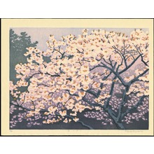 Kasamatsu, Mihoko: Flowers In The Evening - 花の夕べ - Ohmi Gallery