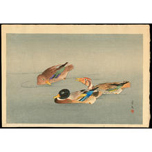 Keibun Matsumoto: Ducks - 鴨 - Ohmi Gallery