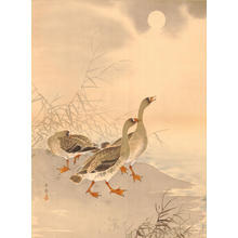 Shoson Ohara: Three Geese and Sun (1) - Ohmi Gallery