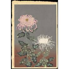 大野麦風: Chrysanthemum (Red and White) - Ohmi Gallery