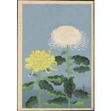 大野麦風: Chrysanthemum (Yellow and White) - Ohmi Gallery