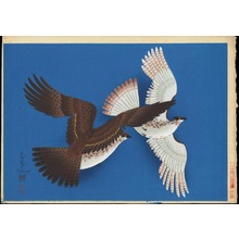 大野麦風: Two Falcons (blue version) - Ohmi Gallery
