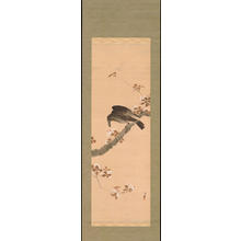 Okumura Keiho: Crow on Cherry Tree - Ohmi Gallery