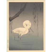 Watanabe Seitei: Two Egrets Wading Under a Willow Tree - Ohmi Gallery