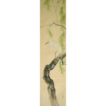 Watanabe Shoka: White Heron On Willow (1) - Ohmi Gallery