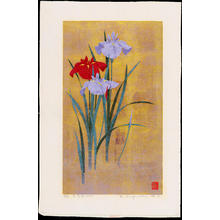 Sugiura Kazutoshi: Iris No 59 - 花菖蒲 Ｎｏ．５９ - Ohmi Gallery