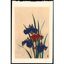 Sugiura Kazutoshi: Iris No. 41 - 花菖蒲No 41 - Ohmi Gallery