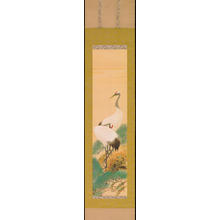 Japanese Print "Two Cranes on Pine Tree (1)" by Suiko