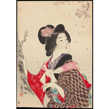 Suzuki, Kason: Sakura (Cherry Blossom) - 桜 - Ohmi Gallery