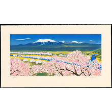 Kuriyama Shigeru: River Surface of Cherry Blossoms (Yamagata Prefecture) - 川面の桜 - Ohmi Gallery