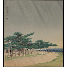Tokuriki Tomikichiro: Pine Trees At Karasaki - 新唐崎の松 - Ohmi Gallery