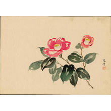 Tsuchiya Koitsu: Camellia - 椿 (1) - Ohmi Gallery