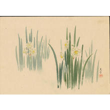 Tsuchiya Koitsu: Narcissus (1) - Ohmi Gallery