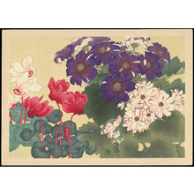 無款: Flowers (1) - Ohmi Gallery