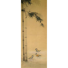 無款: Sparrows and Bamboo (1) - Ohmi Gallery