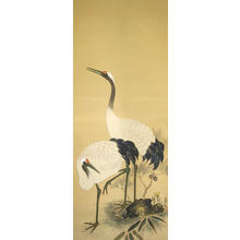 無款: Two Cranes (1) - Ohmi Gallery