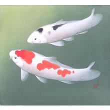 無款: Two Koi (1) - Ohmi Gallery