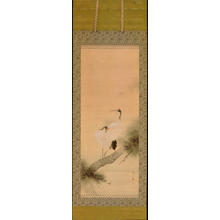 Watanabe Seitei: Two Cranes on a Pine Branch - 松上双鶴図大幅 - Ohmi Gallery