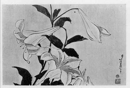 Katsushika Hokusai: （百合） - Ritsumeikan University