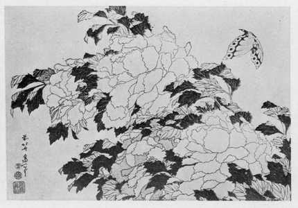 Katsushika Hokusai: （牡丹） - Ritsumeikan University