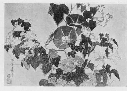 Katsushika Hokusai: （朝顔） - Ritsumeikan University