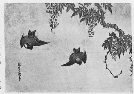Katsushika Hokusai: （藤） - Ritsumeikan University