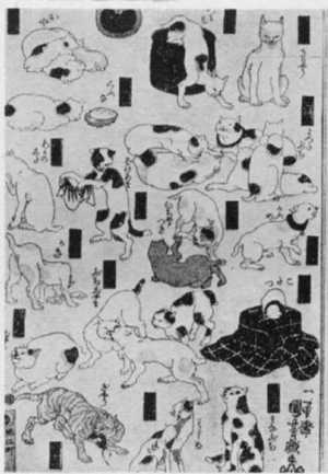 Utagawa Kuniyoshi: 「其のまゝ地口猫飼好五十三疋 左」 - Ritsumeikan University
