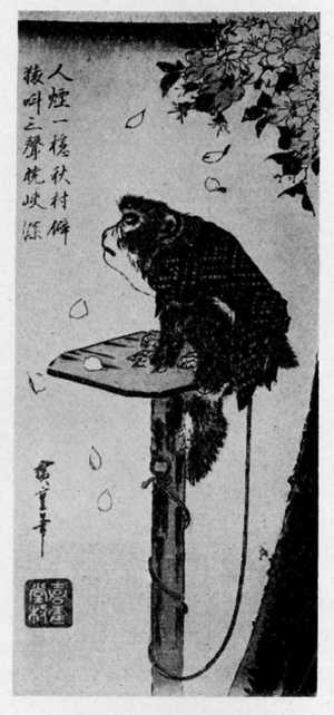 Utagawa Hiroshige: （桜下の猿） - Ritsumeikan University