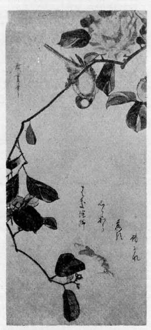 Utagawa Hiroshige: （椿に小鳥） - Ritsumeikan University
