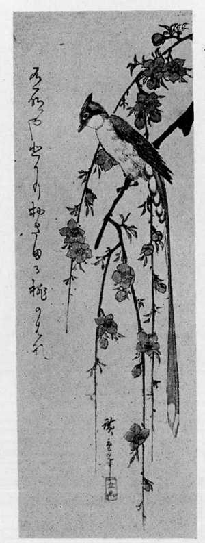 Utagawa Hiroshige: （枝垂桃に寿帯鳥） - Ritsumeikan University