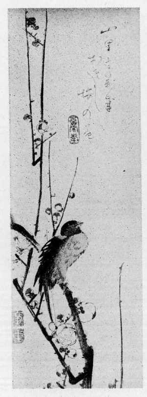 Utagawa Hiroshige: （梅に小鳥） - Ritsumeikan University