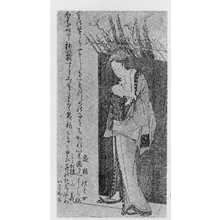 Katsushika Hokusai: （黒塀） - Ritsumeikan University
