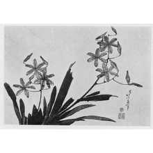 Katsushika Hokusai: （しょうじ） - Ritsumeikan University