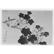 Katsushika Hokusai: （芙蓉） - Ritsumeikan University