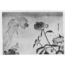 Katsushika Hokusai: （芍薬） - Ritsumeikan University