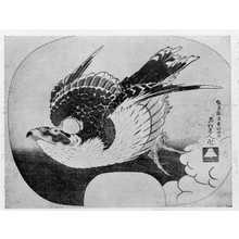 Katsushika Hokusai: 「鷲」 - Ritsumeikan University