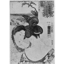Utagawa Kuniyoshi: 「山海相度図会」 - Ritsumeikan University