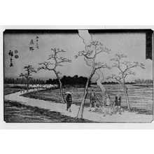 Utagawa Hiroshige: 「隷書東海道五十三次」 - Ritsumeikan University
