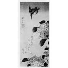 Utagawa Hiroshige: （紫陽花に川蝉） - Ritsumeikan University