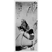 Utagawa Hiroshige: （雪中蘆に鴨） - Ritsumeikan University