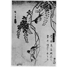 Utagawa Hiroshige: （藤に小鳥図） - Ritsumeikan University