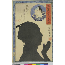 Ochiai Yoshiiku: 「真写月花の姿絵」 - Ritsumeikan University