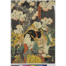 Utagawa Kunisada: 「新造花菊」 - Ritsumeikan University