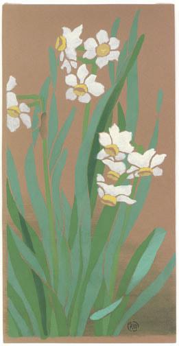 Unknown: Narcissus - Robyn Buntin of Honolulu