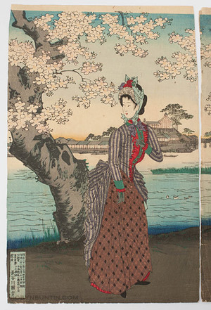 Toyohara Chikanobu, 豊原周延 (Toyohara Chikanobu)による浮世絵「Flower Viewing」