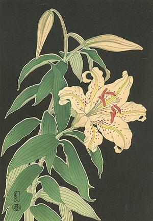 Unknown: Lilies - Robyn Buntin of Honolulu