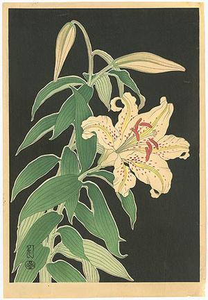 Unknown: Lilies - Robyn Buntin of Honolulu