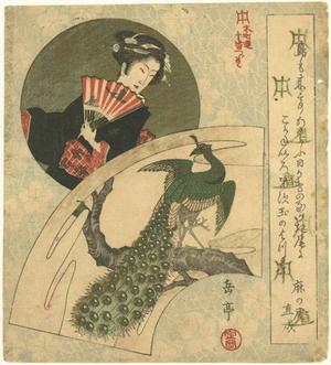 Yashima Gakutei: Geisha and Peacock - Robyn Buntin of Honolulu