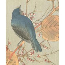 Kawanabe Kyosui: Blue Bird on Autumn Branch - Robyn Buntin of Honolulu